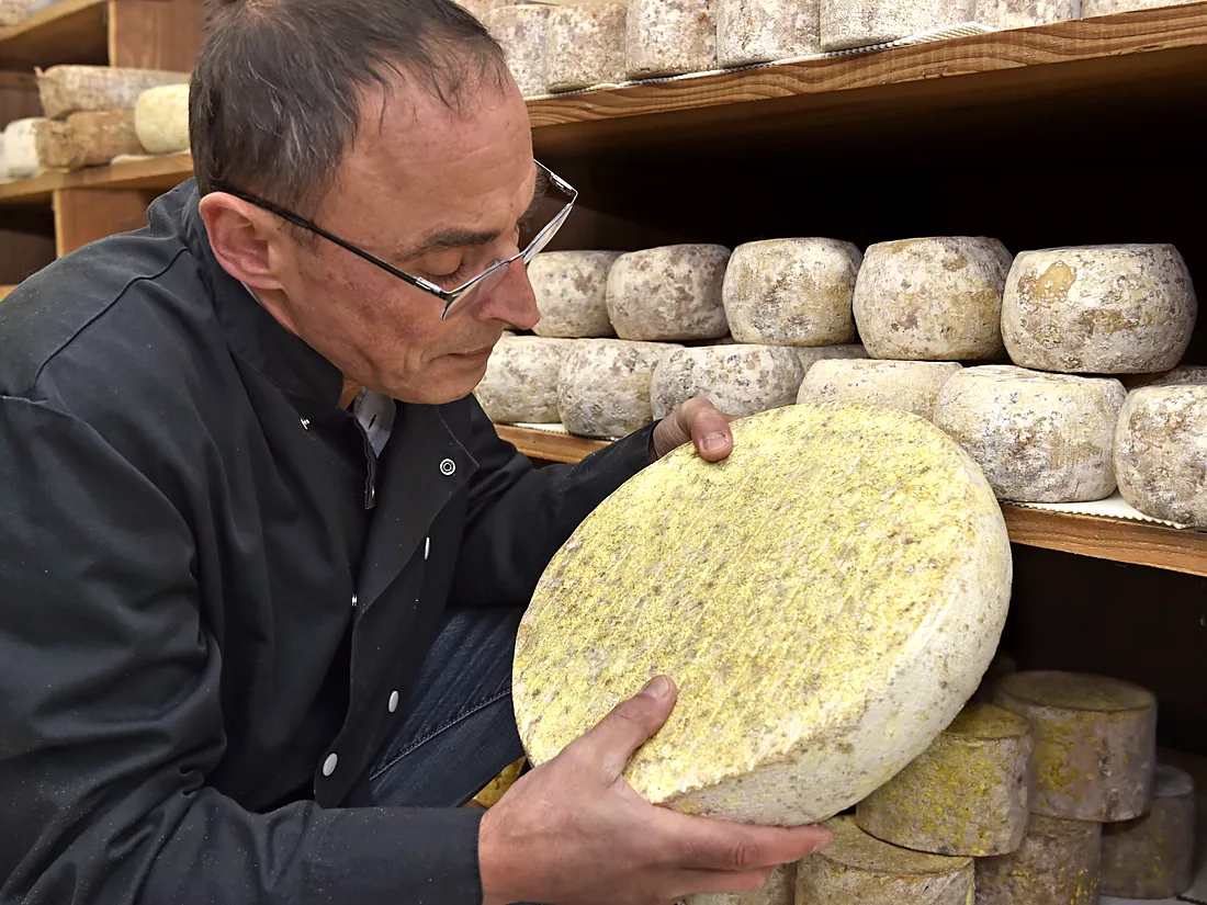Philippe Alléosse au travail